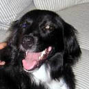 Jamie was adopted in August, 2005